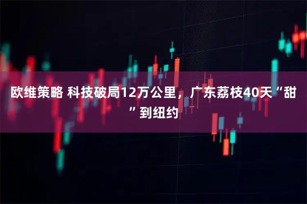 欧维策略 科技破局12万公里，广东荔枝40天“甜”到纽约