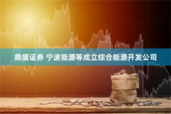 鼎盛证券 宁波能源等成立综合能源开发公司