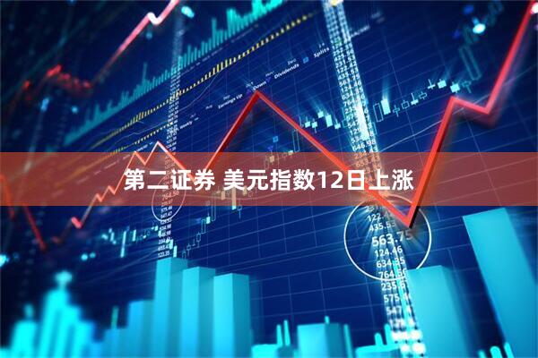 第二证券 美元指数12日上涨