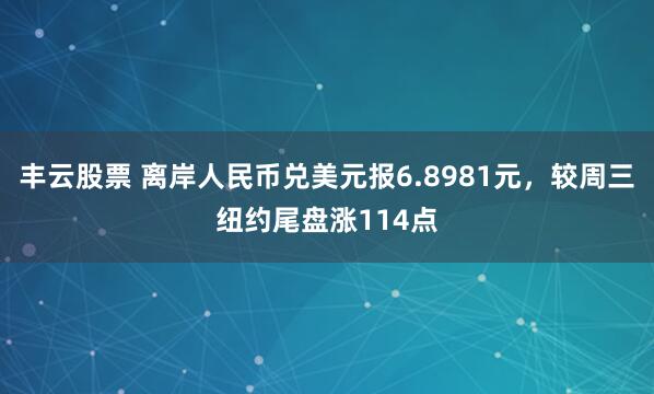 丰云股票 离岸人民币兑美元报6.8981元，较周三纽约尾盘涨114点
