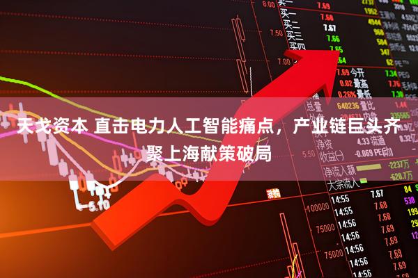 天戈资本 直击电力人工智能痛点，产业链巨头齐聚上海献策破局