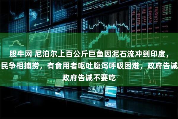 股牛网 尼泊尔上百公斤巨鱼因泥石流冲到印度，当地居民争相捕捞，有食用者呕吐腹泻呼吸困难，政府告诫不要吃
